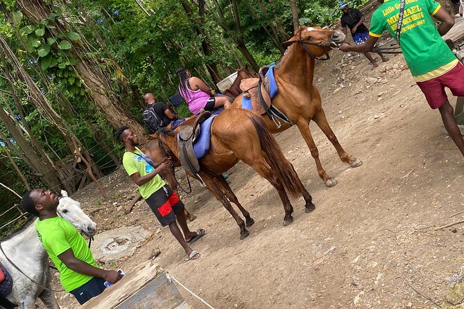 Private Horseback Riding with Blue Hole River Tour in Montego Bay - Starting with a beach ride near Discovery Bay