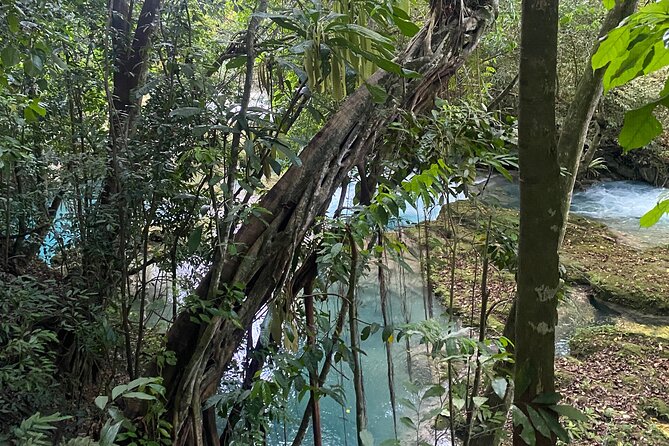 Private Horseback Riding with Blue Hole River Tour in Montego Bay - Expect about two hours of transportation