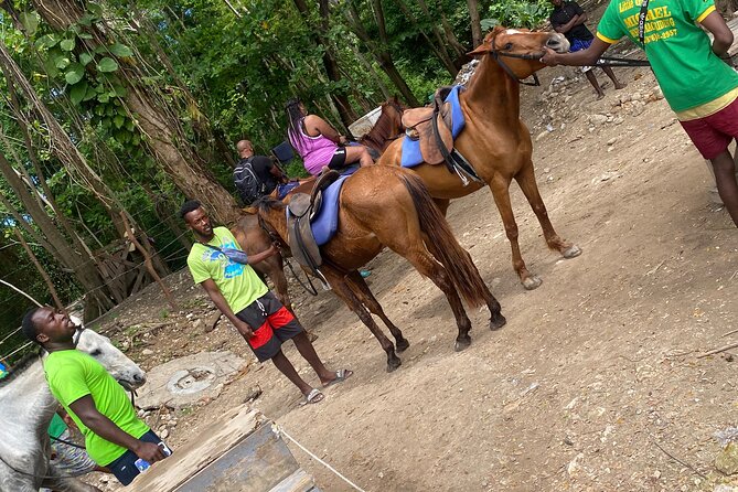 Private Horseback Riding with Blue Hole River Tour in Montego Bay - What the $80 price really covers