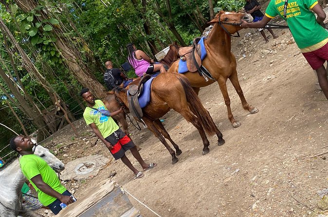 Private Horseback Riding with Blue Hole River Tour in Montego Bay - Practical booking advice for Montego Bay