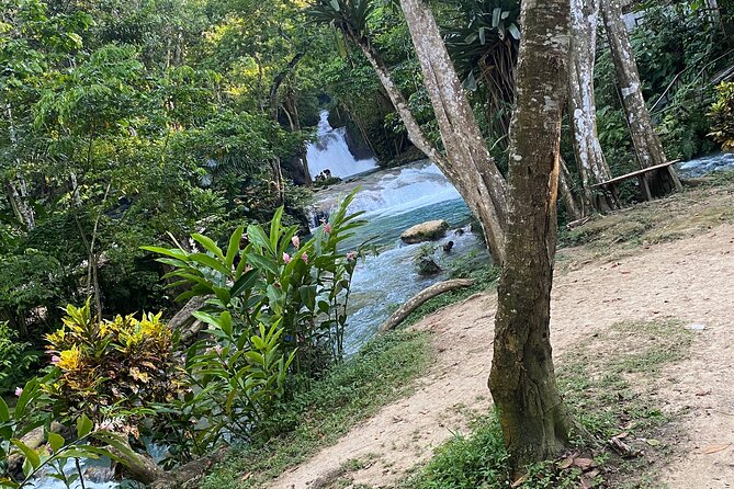 Private Horseback Riding with Blue Hole River Tour in Montego Bay - Should you book the horseback and Blue Hole tour?