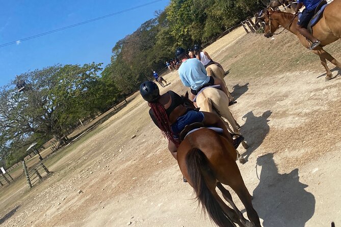 Private Horseback Riding with Blue Hole River Tour in Montego Bay - The Blue Hole portion lasts about one hour