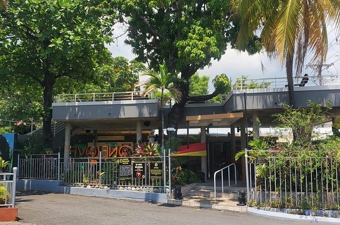 Private Kingston and Bob Marley Museum Tour from Falmouth - Who should book this Kingston outing?