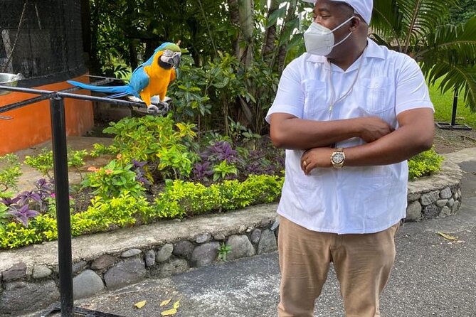 Private Konoko Falls and Blue Hole Combo Tour from Ocho Rios - A private start through Ocho Rios