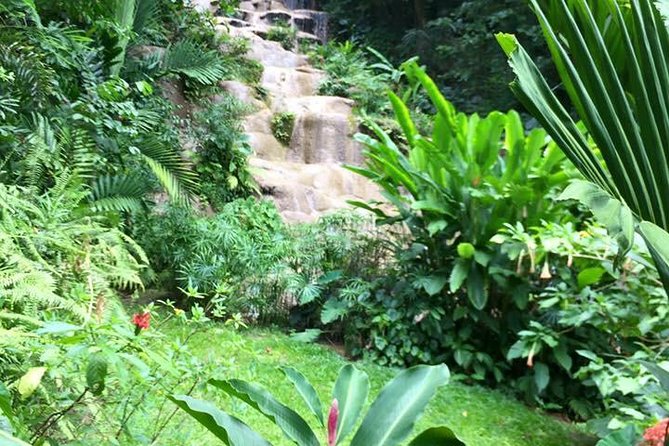 Private Konoko Falls and Blue Hole Combo Tour from Ocho Rios - Who will get the most from this outing