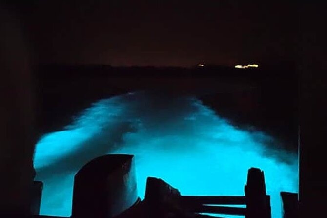 Private Luminous Blue Lagoon Night Tour in Falmouth - Why the Luminous Lagoon is worth seeing at night