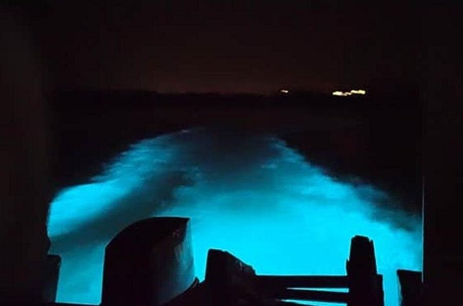 Private Luminous Blue Lagoon Night Tour in Falmouth - Transport, pickup, and hotel restrictions