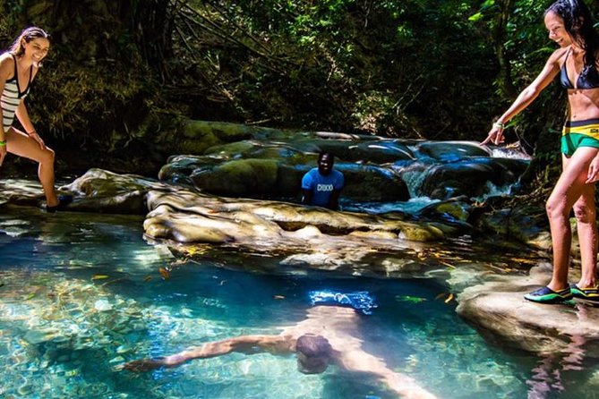 Private Mayfield Falls Waterfalls Tour [ Transportation ] - Why Mayfield Falls works well as a half-day outing