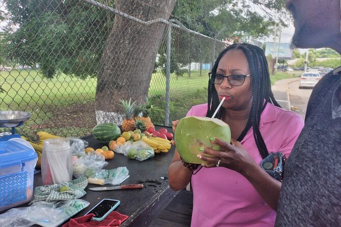 Private Montego Bay City Highlights Tour - Who will enjoy this Montego Bay tour?