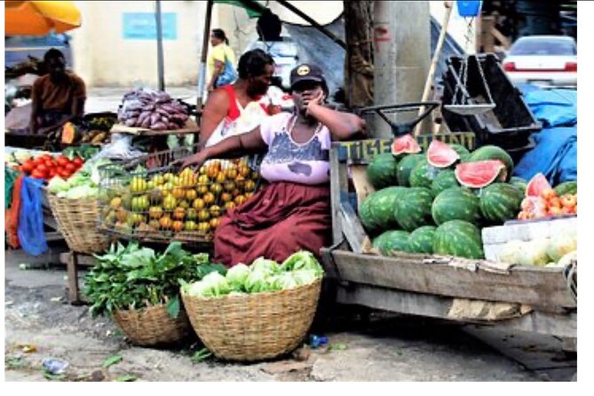 Private Montego Bay City Tour with Sightseeing and Shopping - Who should book this Montego Bay outing?