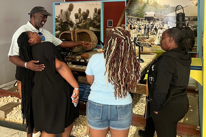 Private Montego Bay Customized Tour with Pickup and Guide - Why a private Montego Bay tour works well