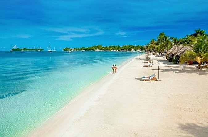 [PRIVATE] Negril Sightseeing Tour with RickS Cafe Cliff Diving - How much value do you get for $157?