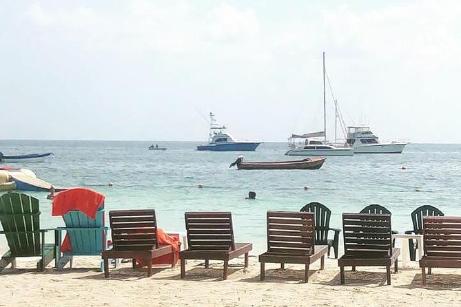 [PRIVATE] Negril Sightseeing Tour with RickS Cafe Cliff Diving - Seven Mile Beach: make the most of the two-hour stop