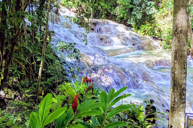 Private Ocho Rios highlight tour - Key points to know before booking