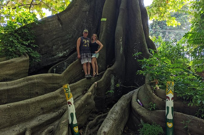 Private Ocho Rios highlight tour - Who will enjoy this Ocho Rios outing?