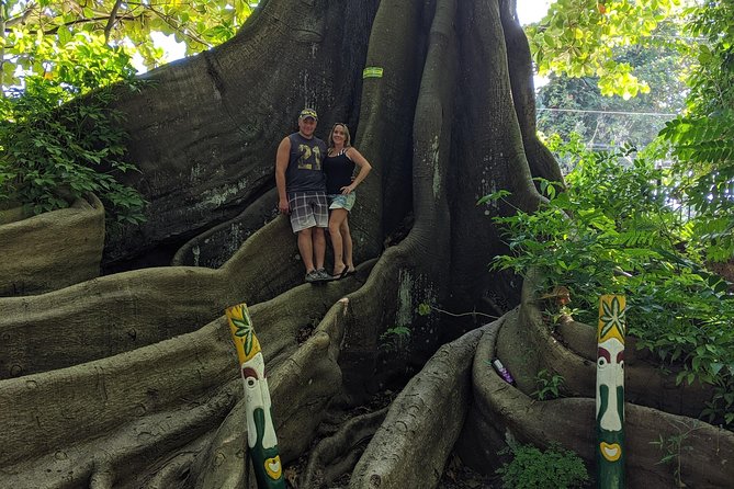 Private Ocho Rios highlight tour - Should you book the private Ocho Rios highlight tour?