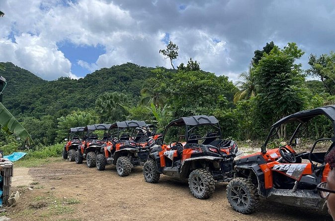 Private Rasta Safari Cultural UTV Village Experience - Seeing a ganja farm and learning about plant use