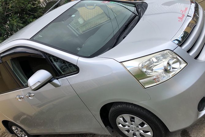 Private Round-trip MBJ Airport Transfer to Montego Bay Hotels - Timing, communication, and small details to confirm