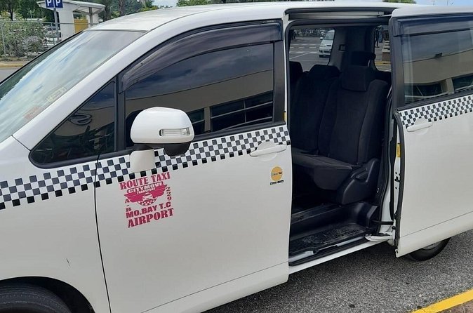 Private Roundtrip Sangster Airport to Montego Bay Hotels - Luggage, service animals, and group fit