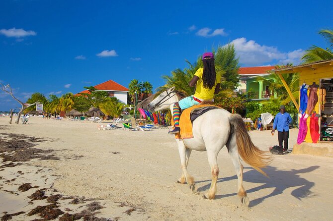 Private Seven Mile Beach and Rick’s Café Tour From Negril Hotels - Who will enjoy this Negril outing most?