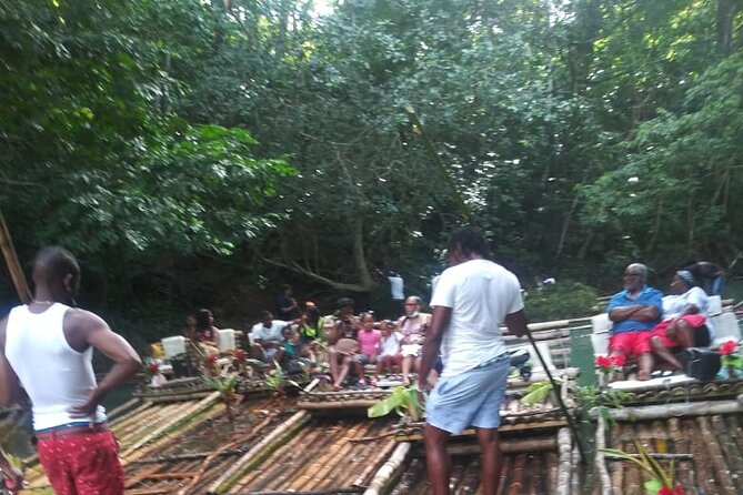Private Sightseeing Tour in & Around Ocho Rios - Plants, spices, and a taste of local knowledge