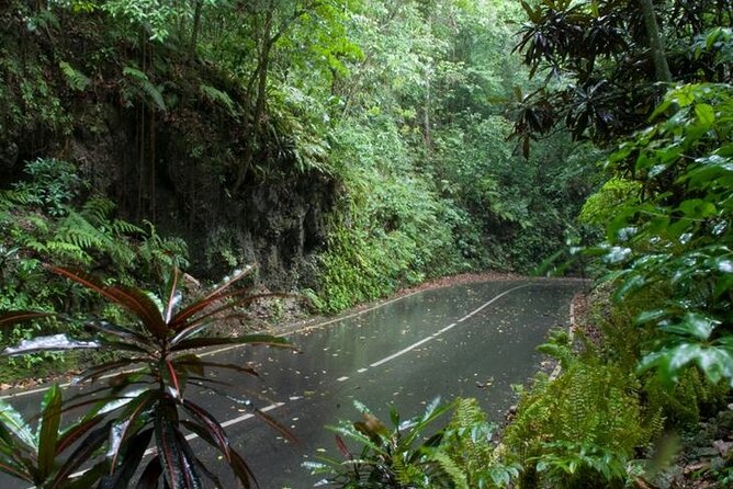 Private Sightseeing Tour in & Around Ocho Rios - The guides make the largest difference
