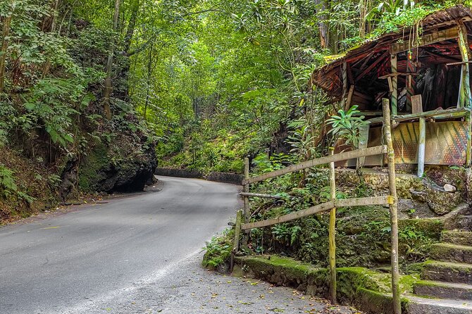 Private Sightseeing Tour in & Around Ocho Rios - Is $50 per person good value?