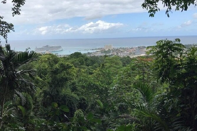 Private Sightseeing Tour in & Around Ocho Rios - Starting from the cruise port or your hotel
