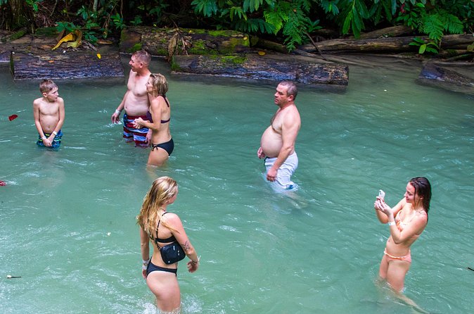 Private Tour - Dunn's River Falls and Ocho Rios Experience from Ocho Rios - The boardwalk keeps non-climbers part of the experience