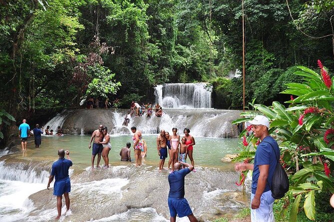 Private Tour from Negril to YS Falls and Pelican Bar - Key points to know before booking