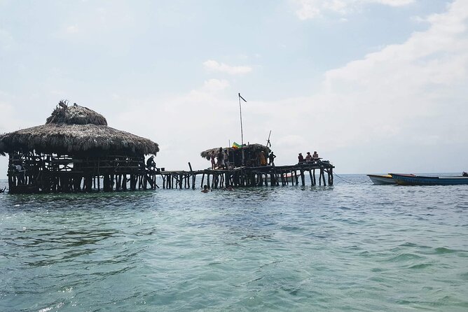 Private Tour from Negril to YS Falls and Pelican Bar - Bamboo Avenue near Alligator Pond