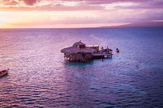 Private Tour from Negril to YS Falls and Pelican Bar - What the $500 private rate really buys you