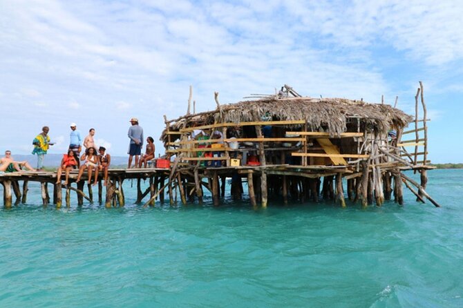 Private Tour from Negril to YS Falls and Pelican Bar - Who will like this tour most