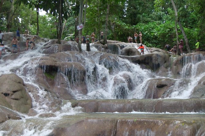Private Tour From Ocho Rios To Dunn's River Falls - Is $86 a fair price?