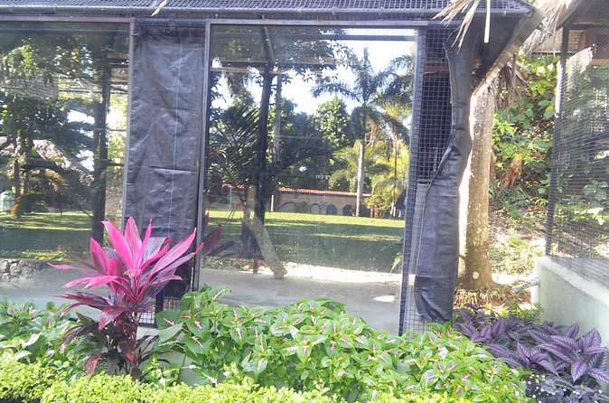 Private Tour From Ocho Rios To Konoko Falls And Garden and Shopping - Shopping and lunch without a fixed group schedule
