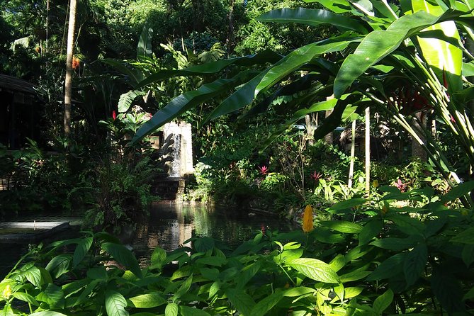 Private Tour From Ocho Rios To Konoko Falls And Garden and Shopping - The guide makes the day feel personal