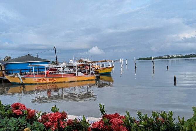 Private Tour in the Glistening Waters from Montego Bay - What the $59.99 price really covers