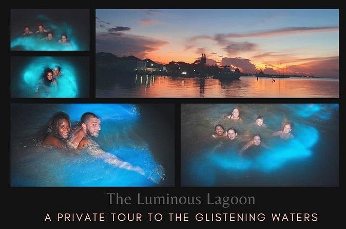 Private Tour in the Glistening Waters from Montego Bay - How to make the most of the glowing water