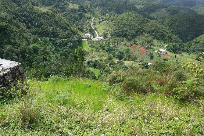Private Tour Ocho Rios or Runaway Bay To 9 Mile Bob Marley Birth & Resting Place - What the Rastafarian portion adds