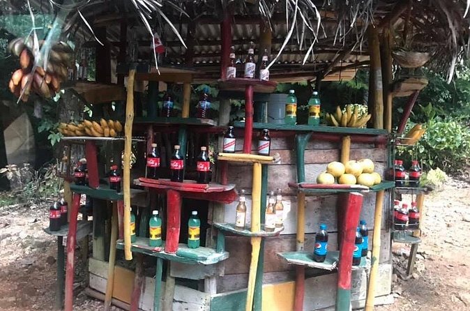 Private Tour of Bob Marley House from Ocho Rios - Guides who shape the experience