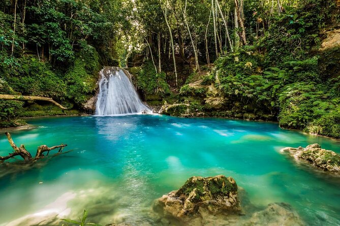 Private Tour To Blue Hole and Dunn’s River from Montego Bay - The real cost: $160 before food