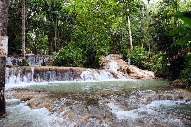 Private Tour to Dunn's River Falls From Ocho Rios - Key Points Before You Book