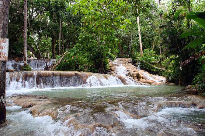 Private Tour to Dunn's River Falls From Ocho Rios - The View From the Top and the Return Route