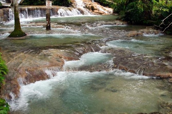 Private Tour to Dunn's River Falls From Ocho Rios - Entering the Park and Reaching the Beach