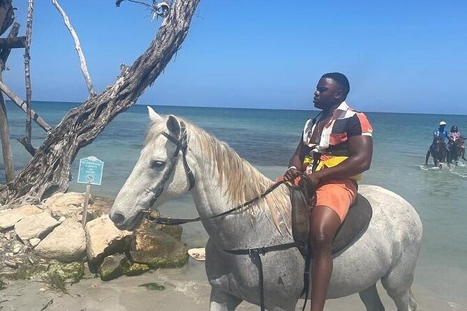 Private Tour to Dunns River and Horseback Riding with Local Guide - Private transport makes the six-hour plan simpler
