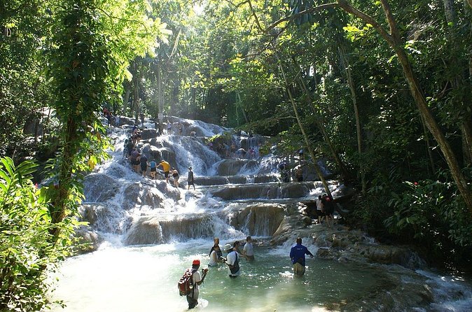 Private Tour to Dunns River and Horseback Riding with Local Guide - Who will get the most from this outing