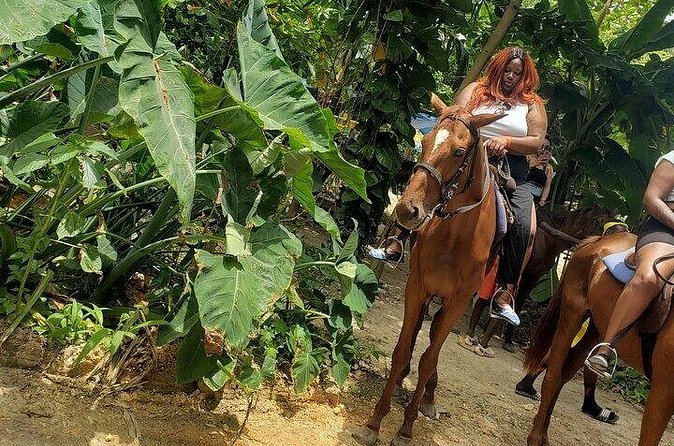 Private Tour to Dunns River and Horseback Riding with Local Guide - The main strengths and the fair limitations