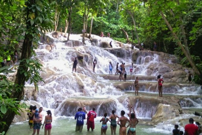 Private Tour to Dunns River and Horseback Riding with Local Guide - What Green and Carado add to the drive