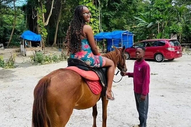 Private Transfer from Montego Bay to Dunns River Falls - Who should book this transfer