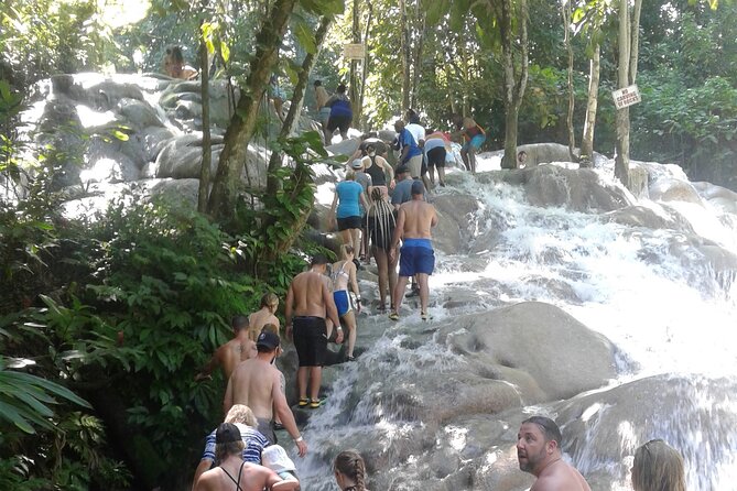 Private Transfer to Dunns River Blue Hole Tubing from Montego Bay - Leaving Montego Bay and meeting the driver